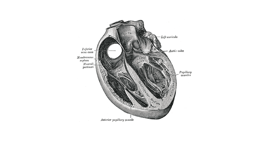 Left Heart Symposium