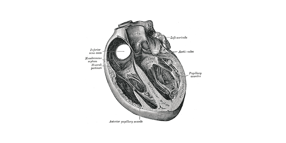 Coming up – JUNE 2025 – Left Heart Symposium